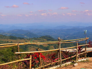 Fototapeta premium The landscape features a bamboo fence and bright red flowers, with layered mountains shrouded in a light mist in the background.
