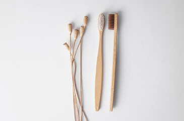 Wooden eco friendly natural toothbrushes and dry grass on white background © VI-stock studio
