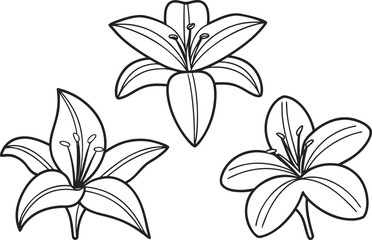 Funeral Flowers Set in Outline Strokes. Memorial Flowers Set in Clean Outline. Sympathy Flowers Set in Line Strokes. Remembrance Flowers Set in Outline Style. Tribute Flowers Set in Smooth Outline