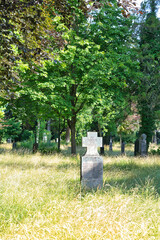 einsame Grabsteine in einer hohen Wiese auf einem Waldfriedhof in Memmingen © Blende8