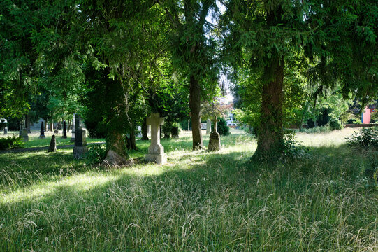 viele Grabsteine zwischen  Gras und B&auml;umen auf einem Waldfriedhof in Memmingen