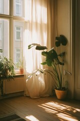 Sunlight streaming through curtains onto potted plants in a cozy living room setting.