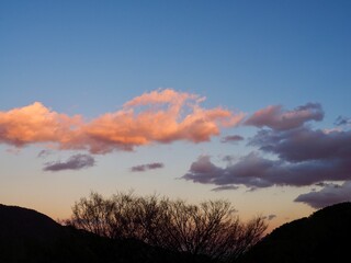 山間の夕焼け雲と冬枯れの木