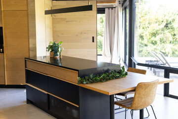 Kitchen island is showcasing matte black base, wood accents and green foliage by patio glass doors