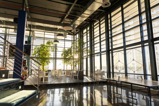 Raised wooden platform is hosting three tall potted trees with white chairs in glass-walled atrium