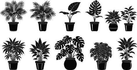 Houseplant silhouette icon set, indoor plant and foliage design collection, botanical graphics, black white vector, cad drawing flat vector illustration