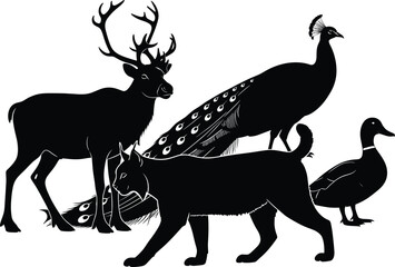 Deer, peacock, lynx, duck, animal silhouette, black and white, wildlife vector, nature illustration, biodiversity, forest animals, bird art, feline shape, 