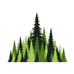 Fototapeta premium Forest Illustration A Group of Pine Trees in Various Shades of Green Against a White Background