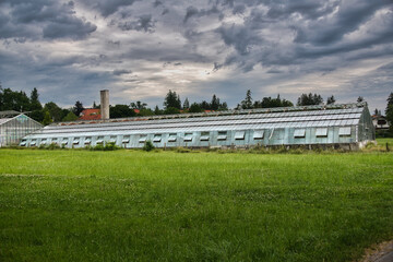 Großes Gewächshaus einer Friedhofsgärtnerei auf einem Münchner Friedhof © Blende8