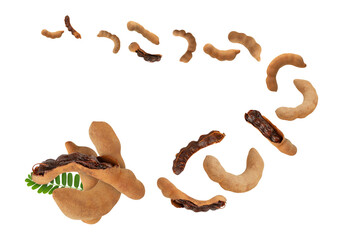 Falling Sweet Tamarind, Cutout, Full Depth Of Field.