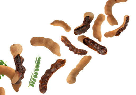 Falling Sweet Tamarind, Cutout, Full Depth Of Field.