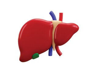 Human body Liver icon 3d render concept of human organs icon vector illustration