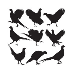 Rooster Ring-Necked Pheasants Silhouettes Collection, Pheasant Silhouette, Bird Vector, Wildlife Design Set