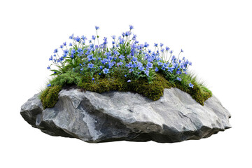 Scenic Rock Garden with Blue Wildflower Cluster