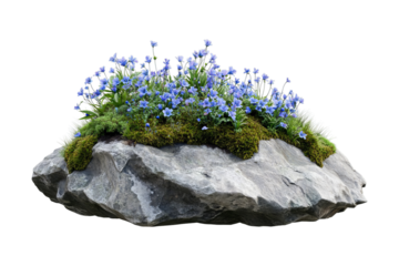 Scenic Rock Garden with Blue Wildflower Cluster