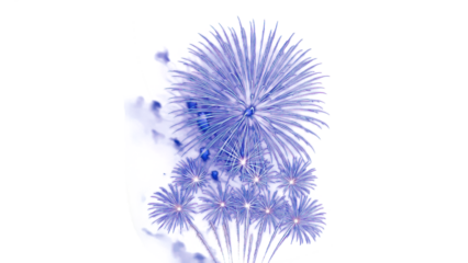 Golden firework texture, thin  stroke lines. Isolated png illustration, transparent background. Design  for overlay, montage, texture. Happy new year concept.