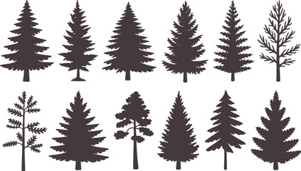 Collection of black pine tree silhouettes evergreen