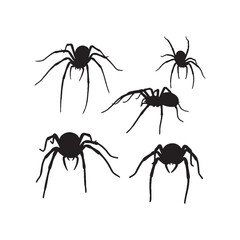Spiders Silhouettes Collection, Spider Silhouette, Insect Vector, Arachnid Illustration