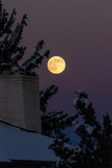 A breathtaking moonrise over Colorado city buildings, blending urban architecture with the serene night sky