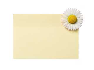 Yellow paper with white daisy isolated on transparent background