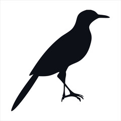 Stylized black silhouette of a perching songbird, a simple vector graphic illustration perfect for nature and wildlife designs, isolated on a clean white background, ideal for logos or emblems