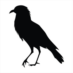 Mysterious black bird silhouette of a standing crow or raven. Isolated vector graphic icon representing wildlife, nature, and gothic themes on a white background