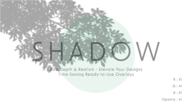 Minimalist vector art of leafy tree shadow overlay across soft mint circle with subtle typography and pale grey background for modern design presentations