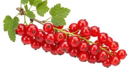 Vibrant red currant berries isolated PNG, fresh fruit on transparent background, healthy eating and summer harvest concept