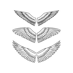 Set of Bird Wings Line Art Vector Illustration. Feathered Wings Collection