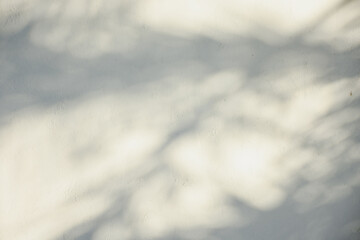 The shadow of the sun shining through the wood