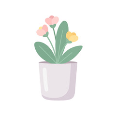 Obraz premium Delicate potted blossoms with pastel hues a botanical illustration for spring cheerfulness