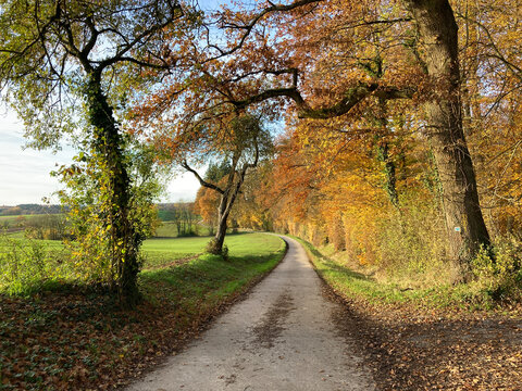 track in autumn