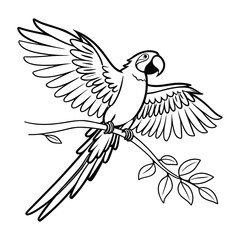 Fototapeta premium Outline drawing of a macaw parrot perched on a branch with leaves, wings spread, isolated on white Vector