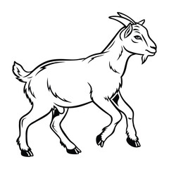 Fototapeta premium Detailed line drawing of a goat walking side profile isolated on white, farm animal vector art Vector