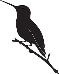 Silhouette of hummingbird with sitting on branch vector on white background