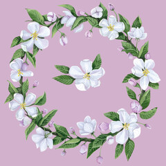 Apple blossom wreath on pink background