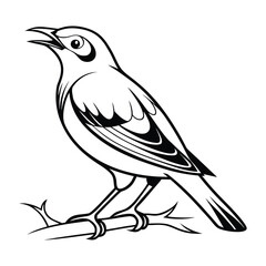 Obraz premium Stylized black and white illustration of a small bird perched on a thin thorny branch with its beak open. Vector