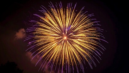 fireworks in the sky