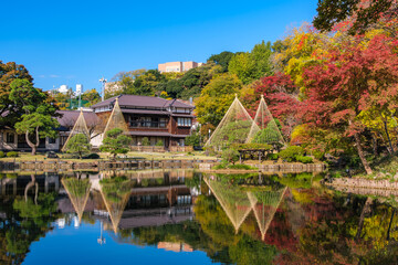 東京都文京区 紅葉の肥後細川庭園