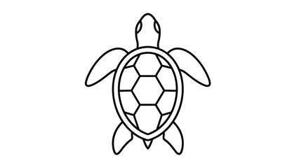 Simple Line Art Turtle with Hexagon Shell Design Illustration © Tanvir