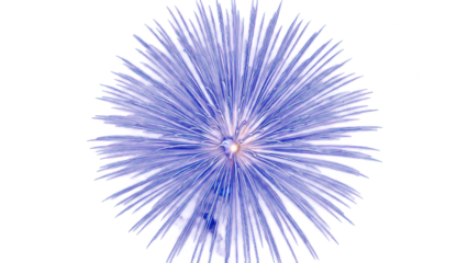 Golden firework texture, thin  stroke lines. Isolated png illustration, transparent background. Design  for overlay, montage, texture. Happy new year concept.