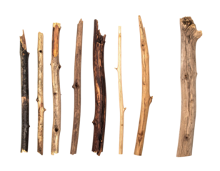 Assortment of wooden sticks of varying lengths and textures arranged against a black backdrop