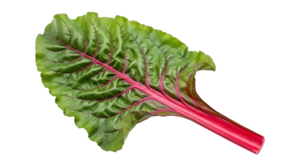 A vibrant single red chard leaf with a green blade, showcasing its fresh texture and rich color, isolated on transparent background