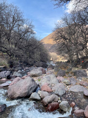 Mountain stream flowing over rocks in early spring in the Atlas Mountains, Morocco. Bare trees, rugged slopes, blue sky