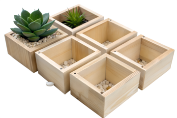 Studio shot of an elegant collection of natural light wood cube planter boxes, featuring two with vibrant small succulents and four empty ones with decorative stones, isolated for design versatility