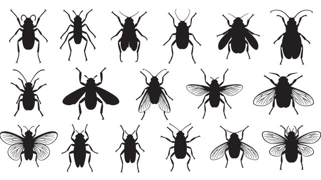 Insect silhouette collection vector illustration of various bugs and flies isolated on white background