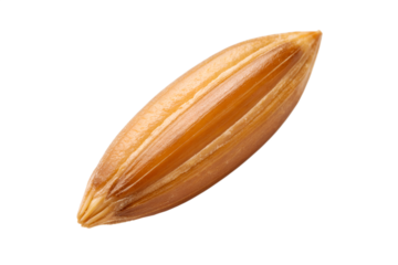 Detailed close-up of a single golden brown rice grain, isolated against a pristine white background, showcasing its natural texture and healthy unpolished form
