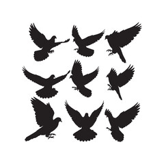Dove Silhouettes Collection, Dove Silhouette, Bird Vector, Peace Illustration