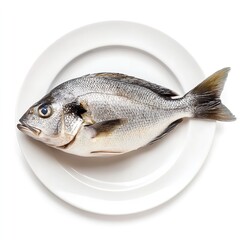 Fresh gilthead sea bream fish on white plate healthy seafood diet mediterranean cuisine raw food photography
