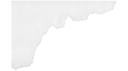 white torn paper background with edges